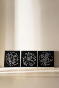 WoodBlack - Peony Lily Rose (3 Parça Set)