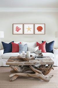 WoodMarine - Coral Starfish Oyster Set