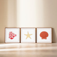 WoodMarine - Coral Starfish Oyster Set