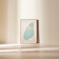 WoodMarine - Seashell