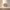 WoodDesign - Coffee (Outlet)