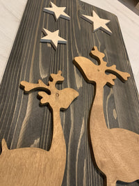 Geyik Ailesi ve Yıldızlar